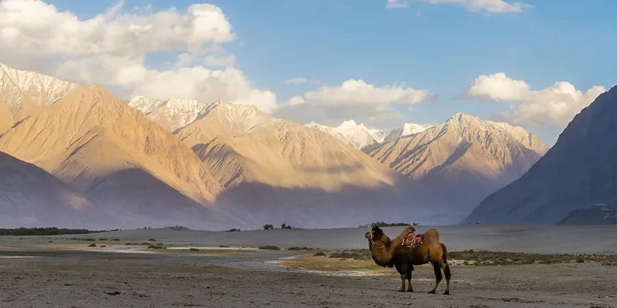 Ladakh Tour Package
