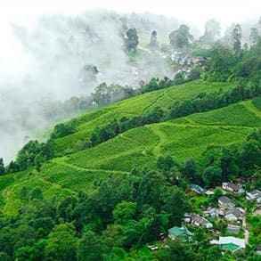 Darjeeling Family Package