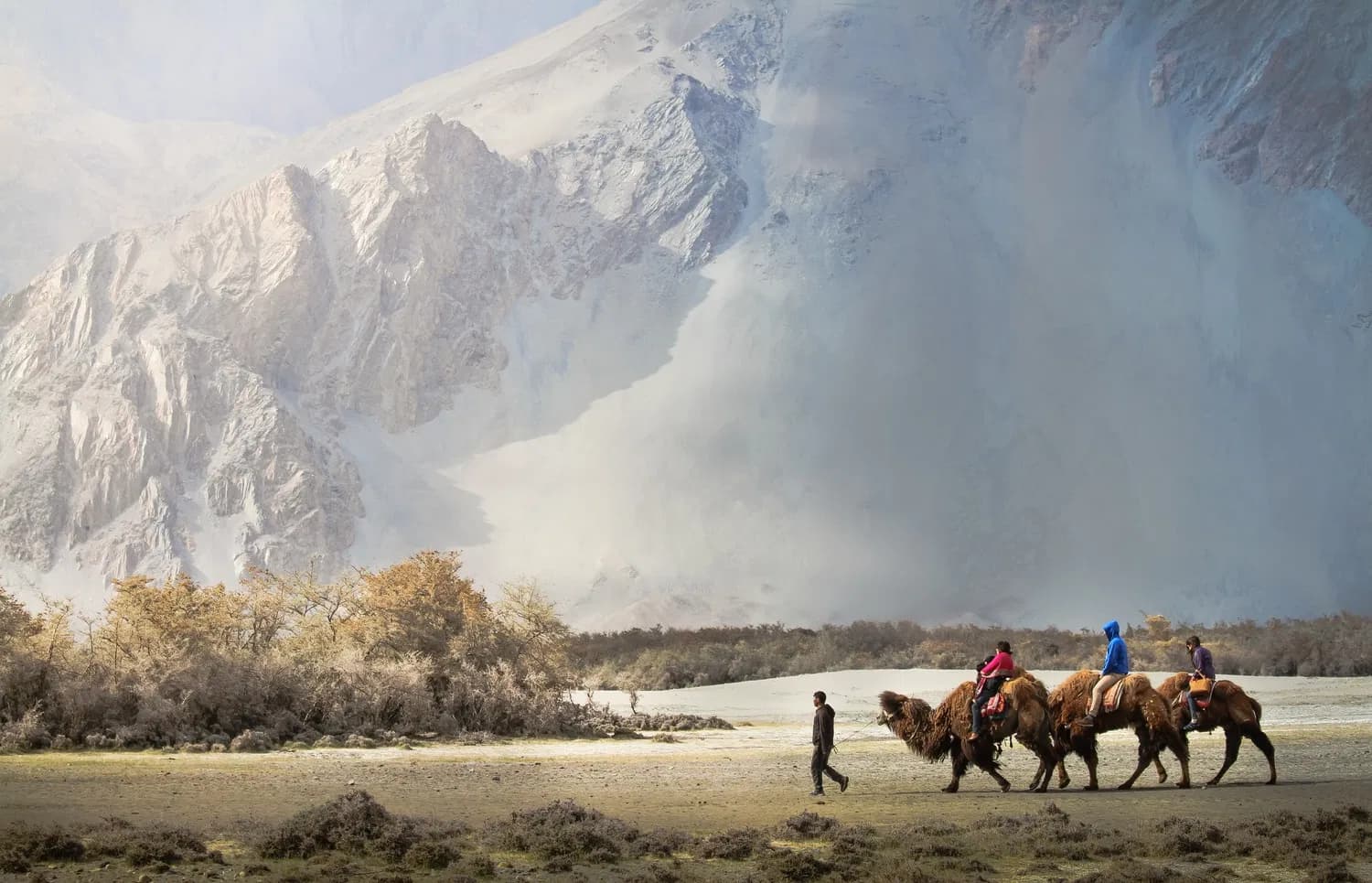 Ladakh Family Package