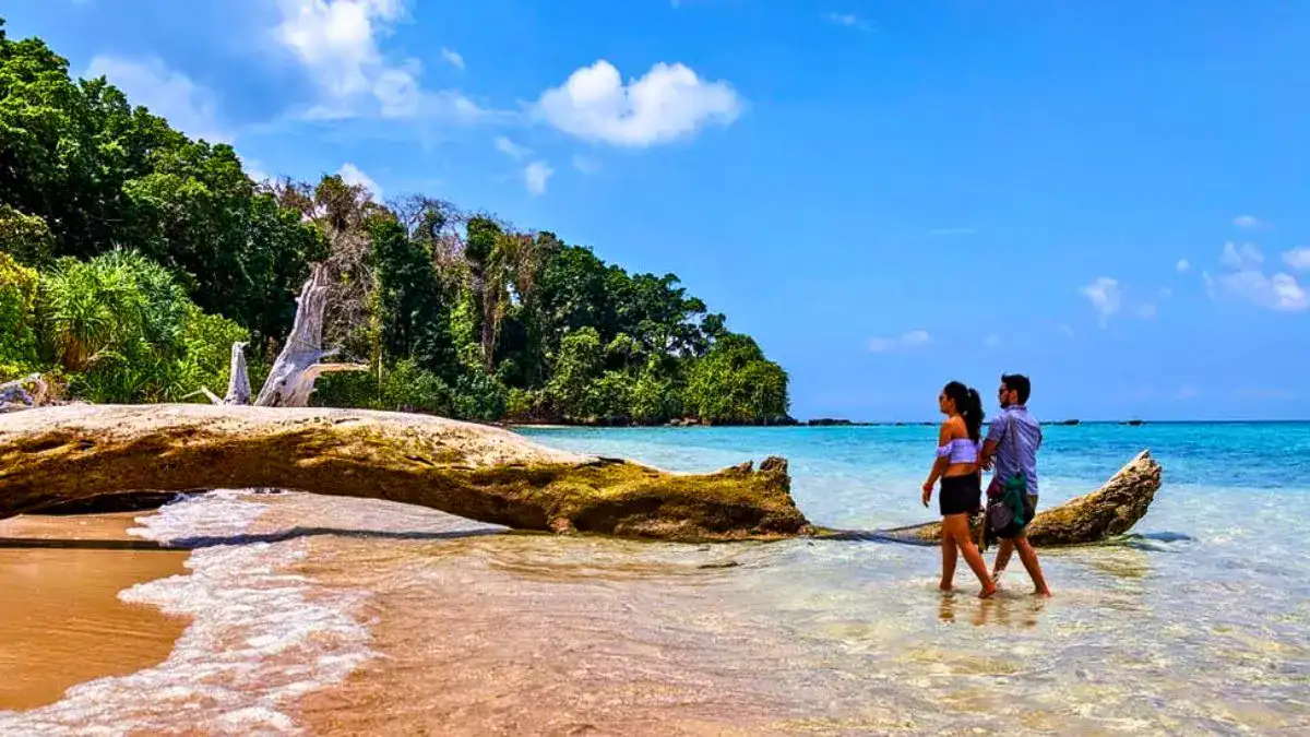 Andaman Honeymoon Package