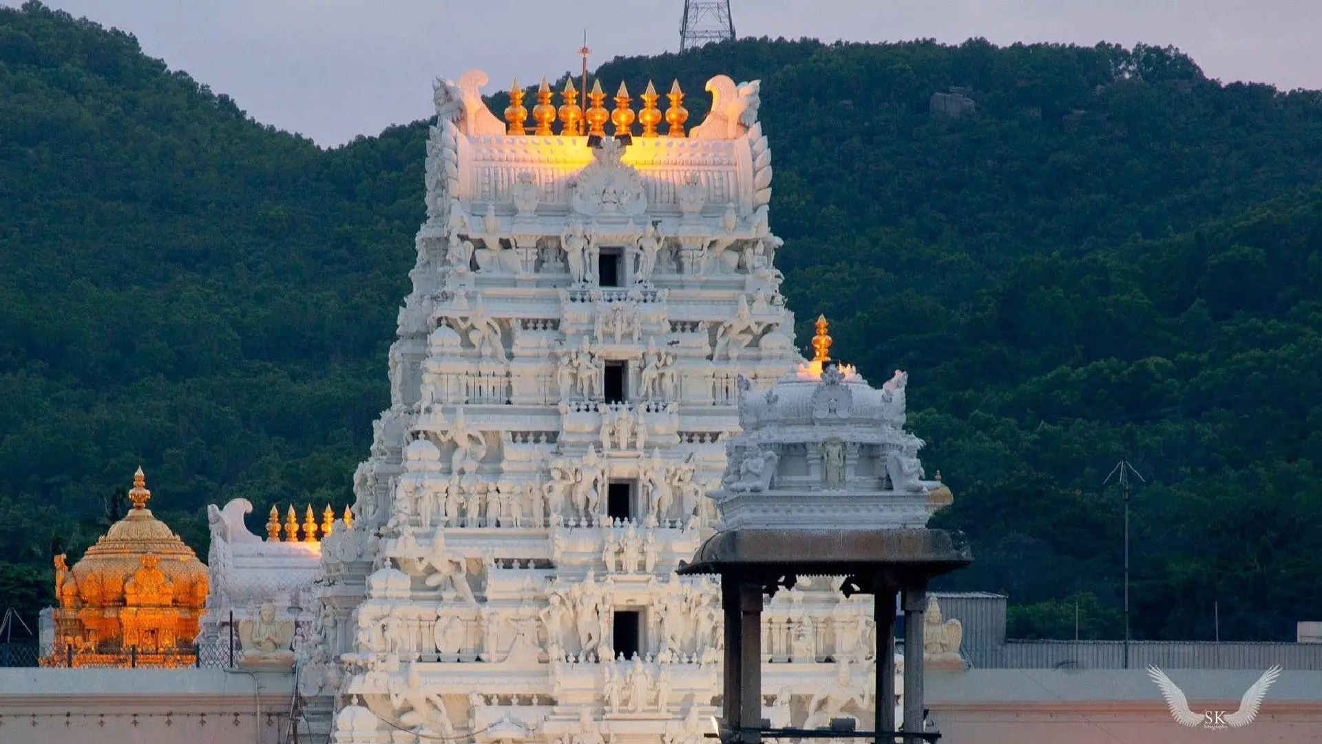 Tirupati Darshan Package